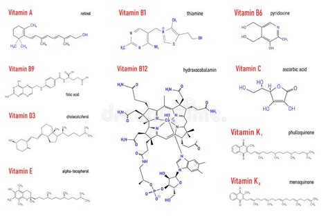 Vitamin Complex Chemical Formula And Structure Logo Vector