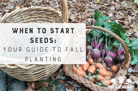 When To Start Seeds Your Guide To Spring Planting Tenth Acre Farm