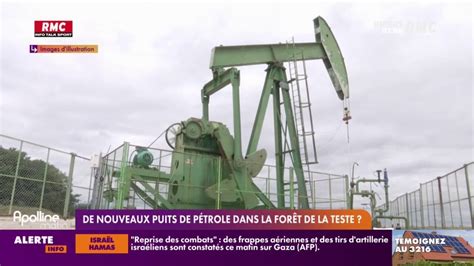 De nouveaux puits de pétrole dans la forêt de la Teste