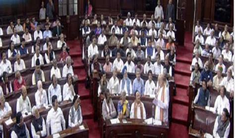 Rajya Sabha Passes Delhi Services Bill Members Support