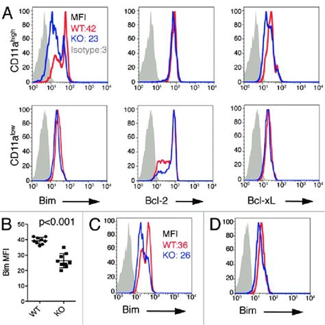 Cd11a High Cd8 T Cells Represent Antigen Primed Effector T Cells