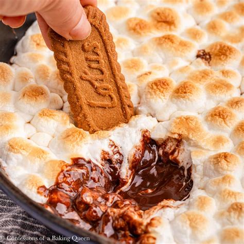 Toasted Marshmallow Smores Galore