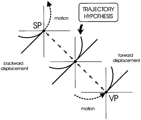 Schematic Representation Of Transformations Made To Perform The