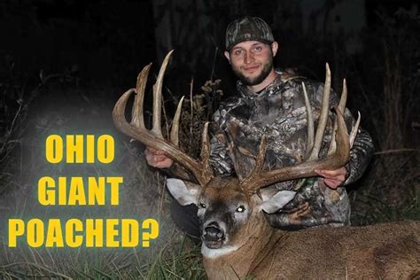 Ohio Alexander Buck Under Investigation For Poaching Page Archery