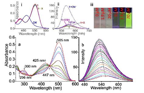 Changes in a absorption and b emission spectra of 1 20µM in