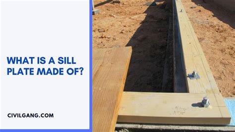 All About Sill Plate What Is A Sill Plate What Is The Purpose Of A Sill Plate How To