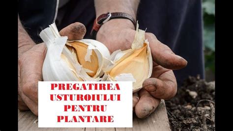 A Person Holding Some Food In Their Hands With The Words Precatura