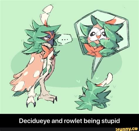 Hilarious Decidueye And Rowlet Meme