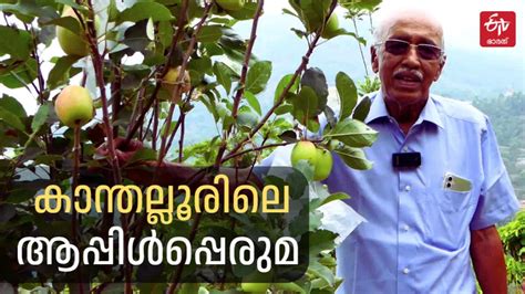 കോടമഞ്ഞിന്‍റെ കുളിരും ആപ്പിൾതോട്ടങ്ങളും കേരളത്തിന്‍റെ ആപ്പിൾ താഴ്‌വരയിലേക്കൊരു യാത്ര