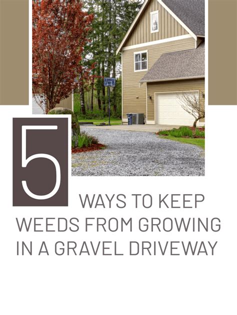 Ways To Keep Weeds From Growing In A Gravel Driveway Home Decor Bliss