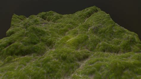 3D model Green hills landscape environment asset VR / AR / low-poly | CGTrader