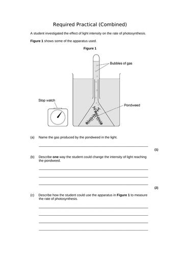 Aqa Gcse Biology 9 1 B8 Photosynthesis Revision Lesson Teaching