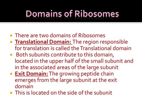 Ribosomes structure & function