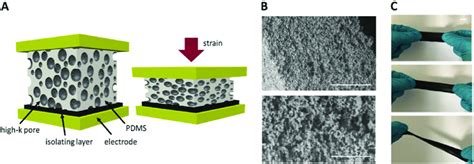 A Schematic View Of Polymeric Foam Filled With Conductive Pores B