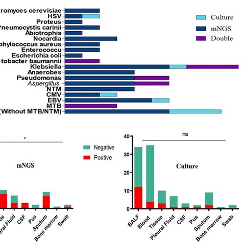 Flow Diagram Of Metagenomic Next Generation Sequencing And Analysis