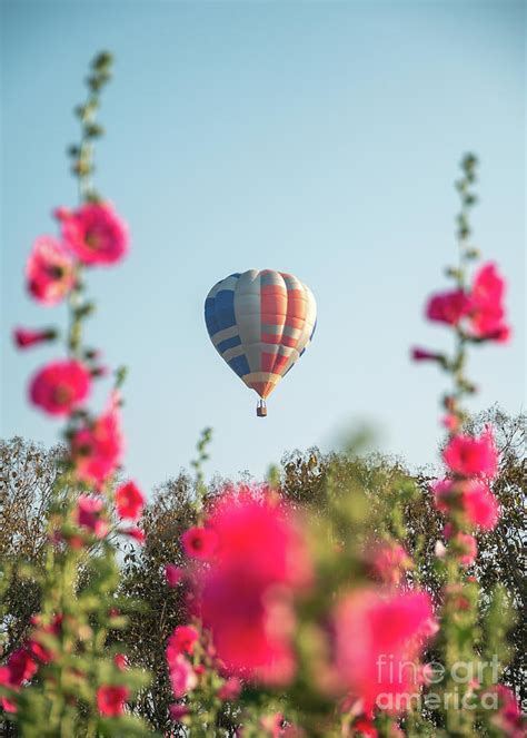 Colorful Hot Air Balloons Flying On Garden Photograph By Thanayu Jongwattanasilkul Pixels