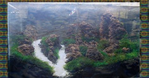 5 Desain Aquascape Tema Gunung Bagian 1 Aquascape Design