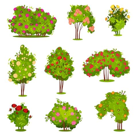 Premium Vector Flat Vector Set Of Roses Bushes Green Shrubs With