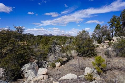 WolfeNotes.com » Prescott National Forest – A Wildland – Urban Interface