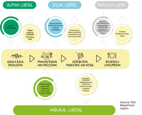 True Cost Accounting Planeat Project