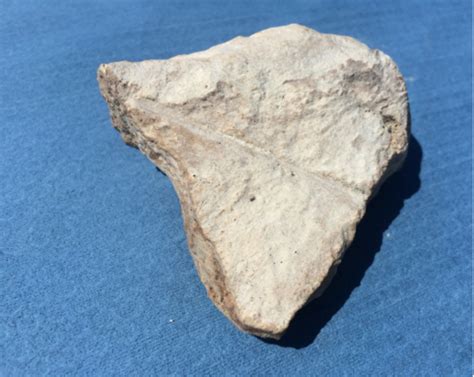 Caliche Rock Fragment From Tularosa Nm Photo By Robert Flynn