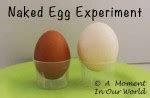 Naked Egg Science Experiment Simple Living Creative Learning