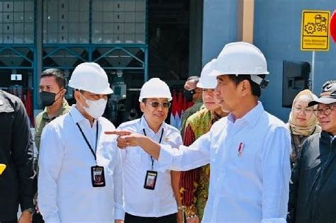 Presiden Jokowi Minta Bulog Serap Gabah Petani Sebanyak Banyaknya