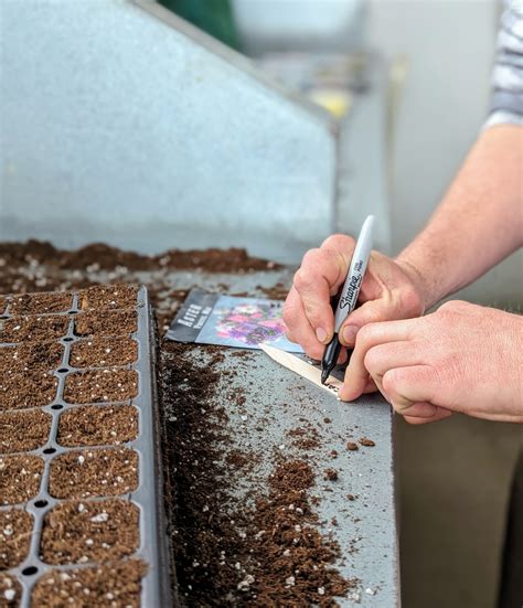 Cliven Bundy Baker Creek Seeds 1