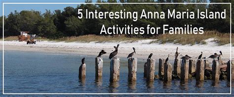 5 Interesting Anna Maria Island Activities for Families