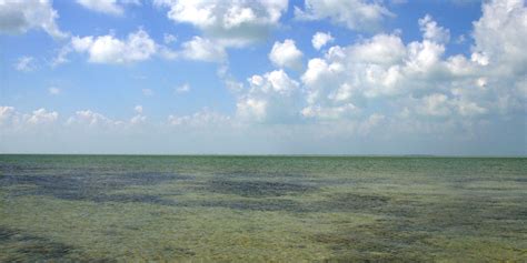 San Pedro Belize Beaches - Best beaches in Belize - Tranquility Bay Resort