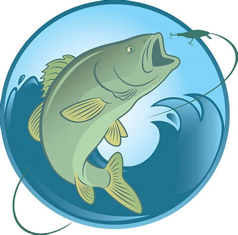 Striped Bass Illustrations Royalty Free Vector Graphics And Clip Art