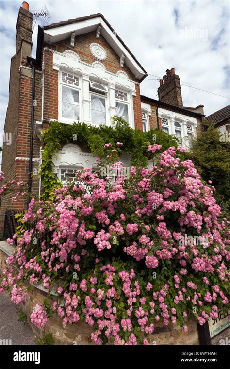 Lewisham House Hi Res Stock Photography And Images Alamy