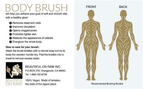 Body Dry Brushing Beautiful On Raw