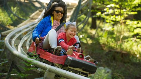 Zip World Launches Uks Only Alpine Roller Coaster Where You Control