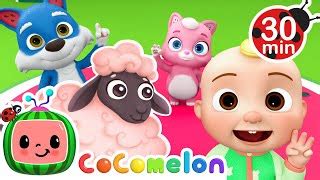 Baa Baa Black Sheep + More CoComelon Animal Time | Animals for Kids | Nursery Rhymes - Videos ...