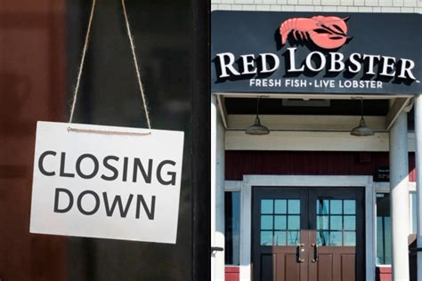 Red Lobster Cierra Mas Locales En Ee Uu