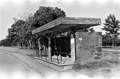 Flashback Chandigarh Bus Shelter Tricity Scoop