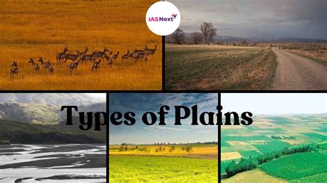 types  plains