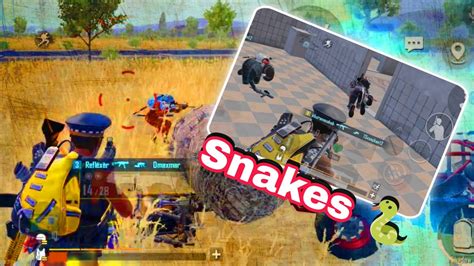 Intense Fight Against🐍 Snakes And 6x Spray🗿 Youtube