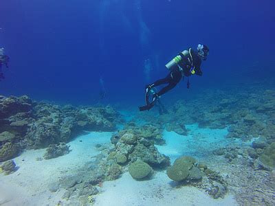 Royalty Free Photo Man Wearing Black And Red Diving Suit Underwater