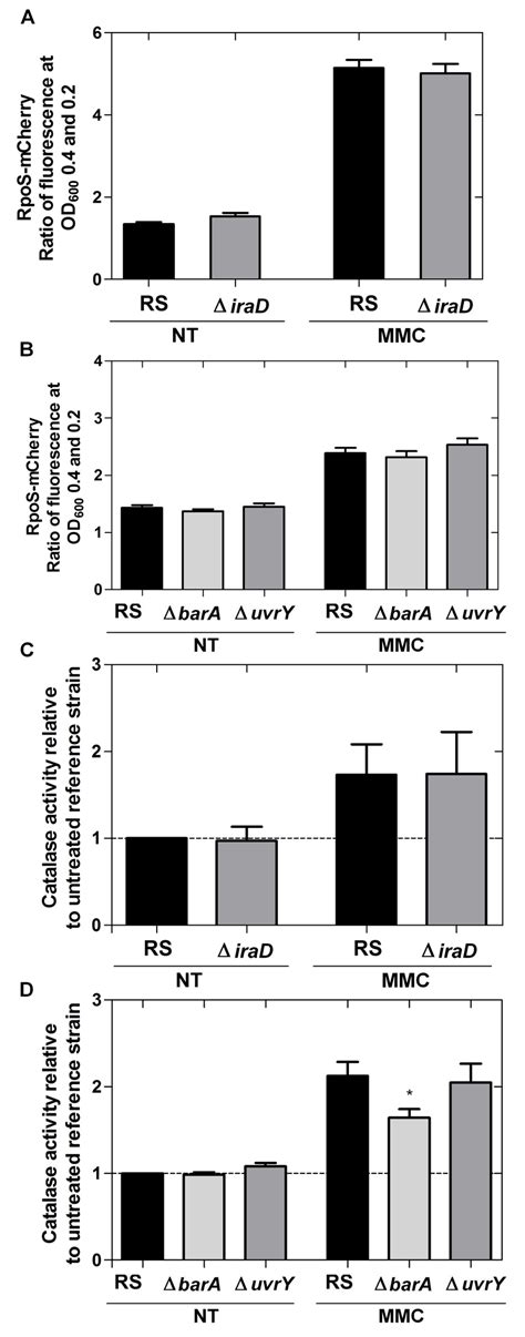 Role Of The Two Component System Bara Uvry In Rpos Regulon Activation