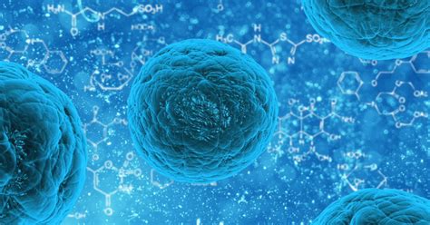 Tipos de células principales del cuerpo humano