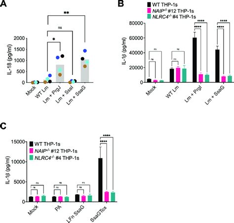 Salmonella SPI 2 Needle Protein SsaG Activates The NAIP NLRC4