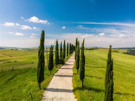 Beautiful Landscape Scenery Of Tuscany In Italy Cypress Trees Along