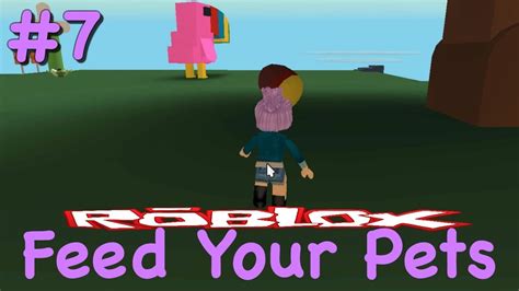 Getting A Toucan And Upgrading My Farm And Pets Roblox Feed Your Pets Ep