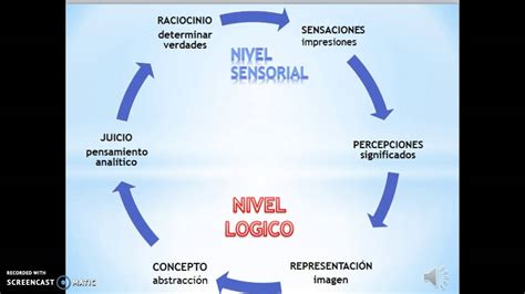 Niveles De Conocimiento