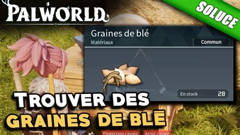 O Trouver Des Graines De Bl Emplacement Palworld Youtube