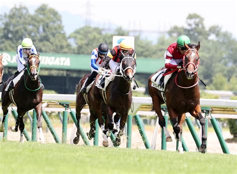 1番人気フェイトが5馬身差圧勝 福永騎手「クラシックに乗せていけると思う」／新馬戦 2歳馬特集 競馬写真ニュース 日刊スポーツ