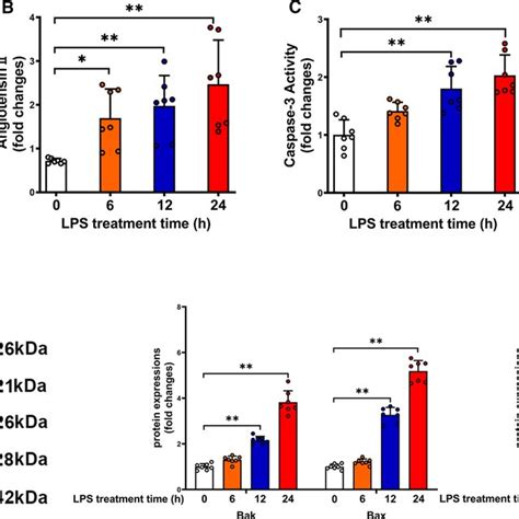 Elevated Plasma Ang II Is Associated With Platelet Apoptosis And