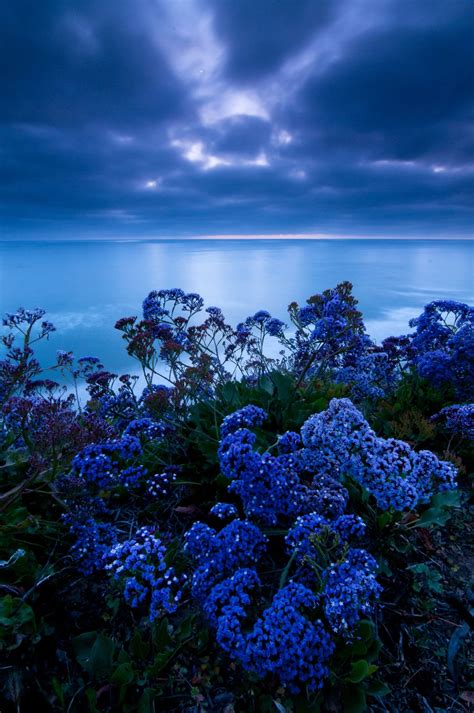 Evening Blues Nature Beautiful Landscapes Beautiful Nature